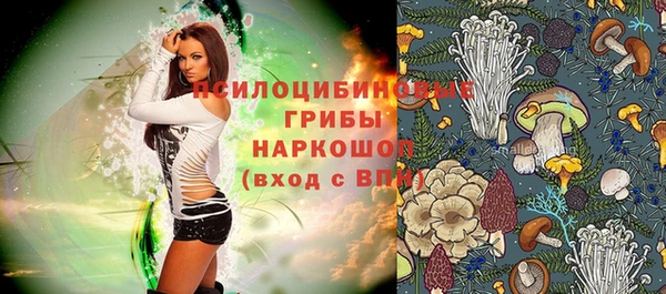 стафф Ельня