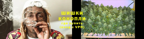 стафф Ельня