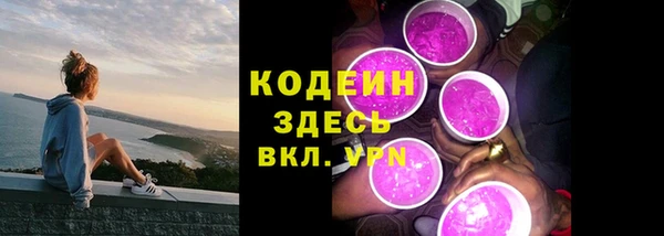 ГАЛЛЮЦИНОГЕННЫЕ ГРИБЫ Елабуга