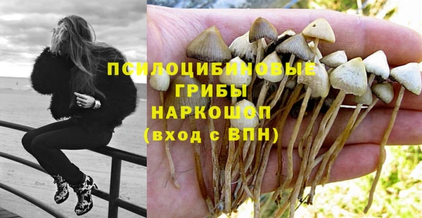 стафф Ельня