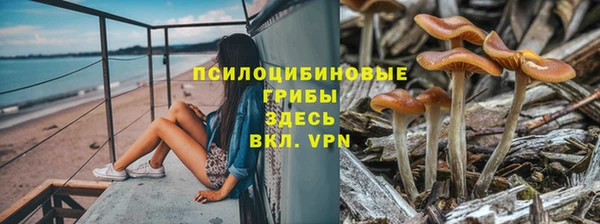 ГАЛЛЮЦИНОГЕННЫЕ ГРИБЫ Елабуга