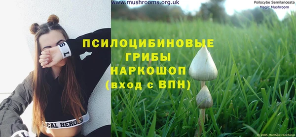 ГАЛЛЮЦИНОГЕННЫЕ ГРИБЫ Елабуга