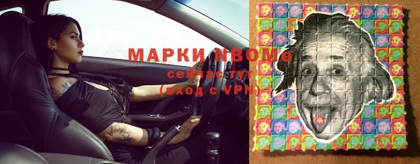 стафф Ельня