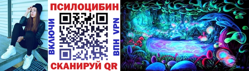 Галлюциногенные грибы GOLDEN TEACHER Купить закладки Серафимович